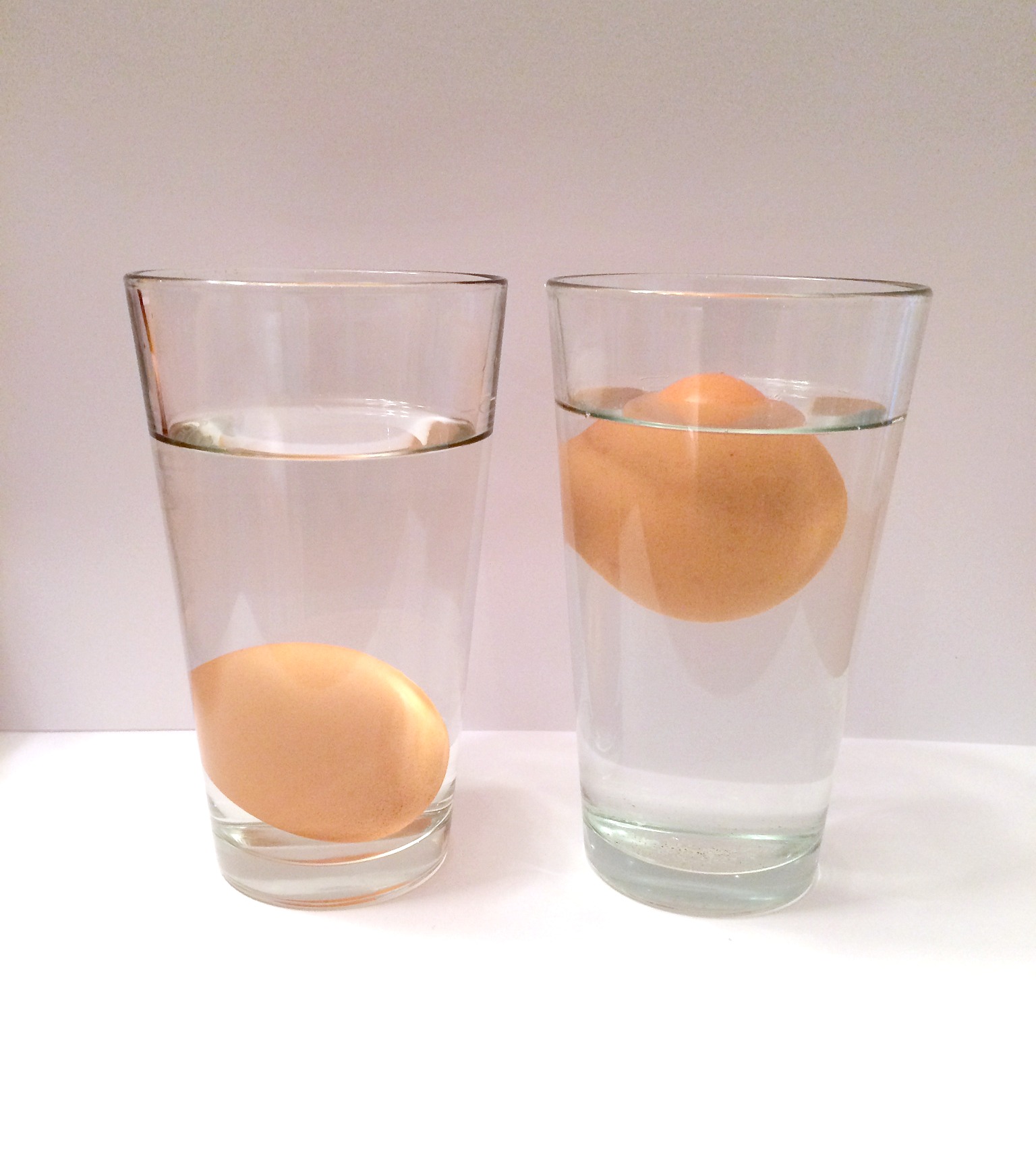 egg float