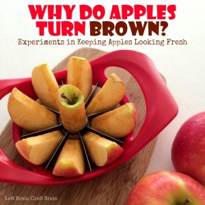 Why Do Apples Turn Brown Experiments in Keeping Apples Looking Fresh Left Brain Craft Brain FB