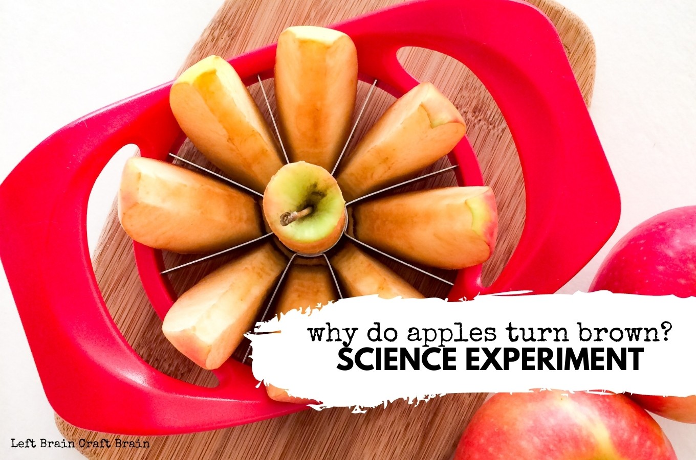 Why Do Apples Turn Brown? Science Experiment