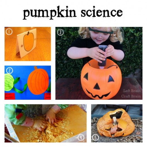 Pumpkin Science Left Brain Craft Brain