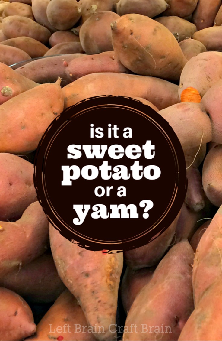 What S The Difference Between Sweet Potatoes And Yams Left Brain Craft Brain,Best Canned Cat Food For Weight Gain