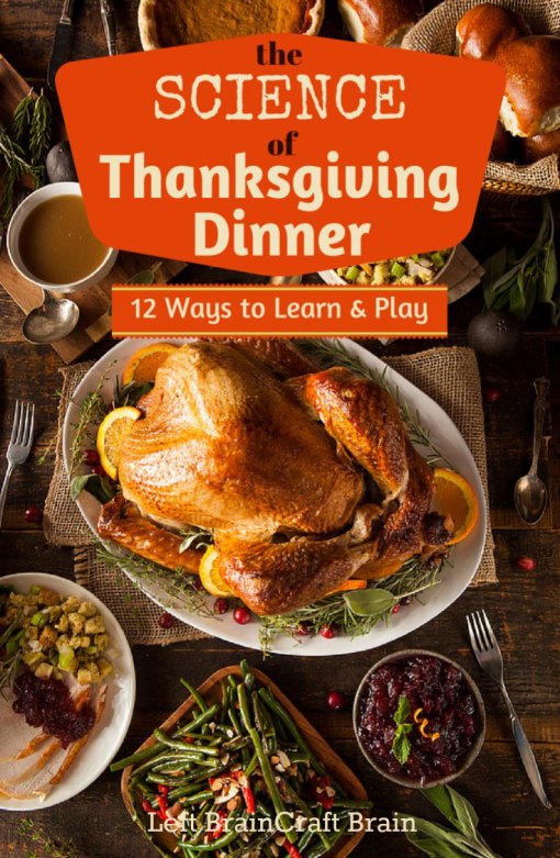 The Science of Thanksgiving Dinner - 12 Ways to Learn & Play. You'll find lots of interesting science facts perfect for Thanksgiving conversation starters plus fun activities for the kids for every traditional Thanksgiving food.