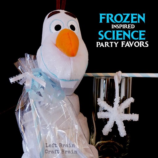 Frozen Science Birthday Party Favors Left Brain Craft Brain FB