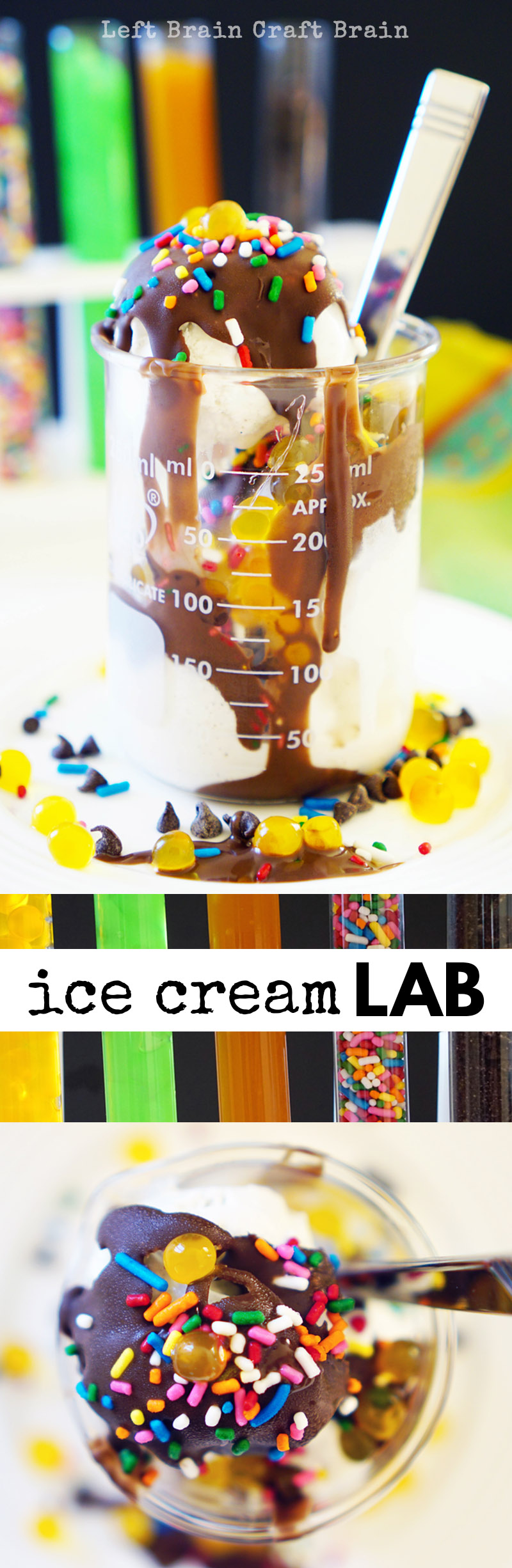 IHere's a science experiment the kids will beg for. This Ice Cream Lab is perfect for Mad Scientist parties, Halloween or a special birthday treat. Or even an end of school year science class celebration.