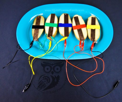Potato Science What's the Fastest Way to Bake a Potato? Baked Potato Science Fair ...