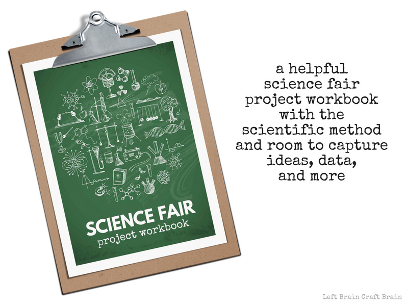 Science Fair Project Workbook Mockup
