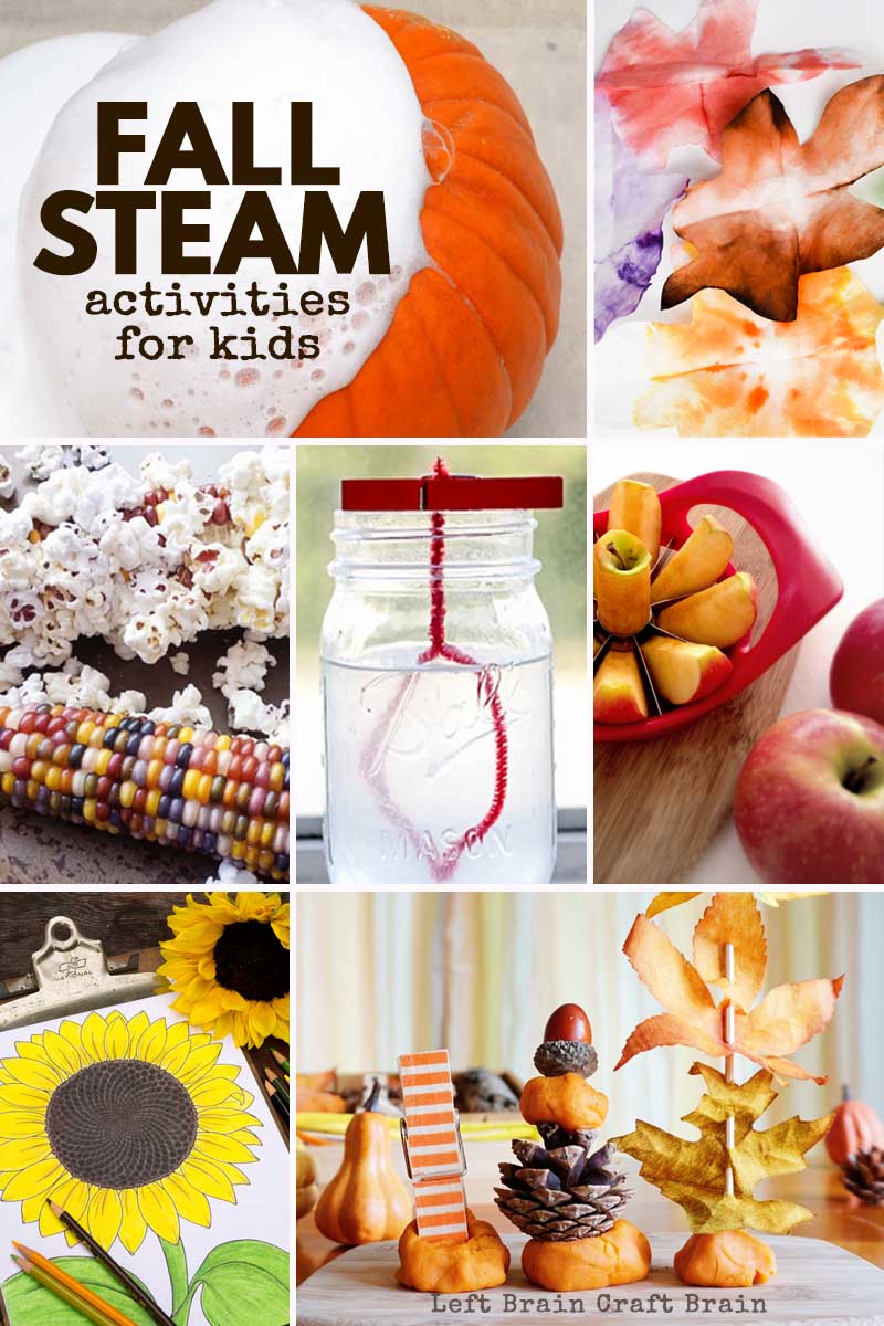 The air is getting cooler & the leaves are changing. It's fall science happening around you! This set of Fall STEAM activities are perfect for your kids.