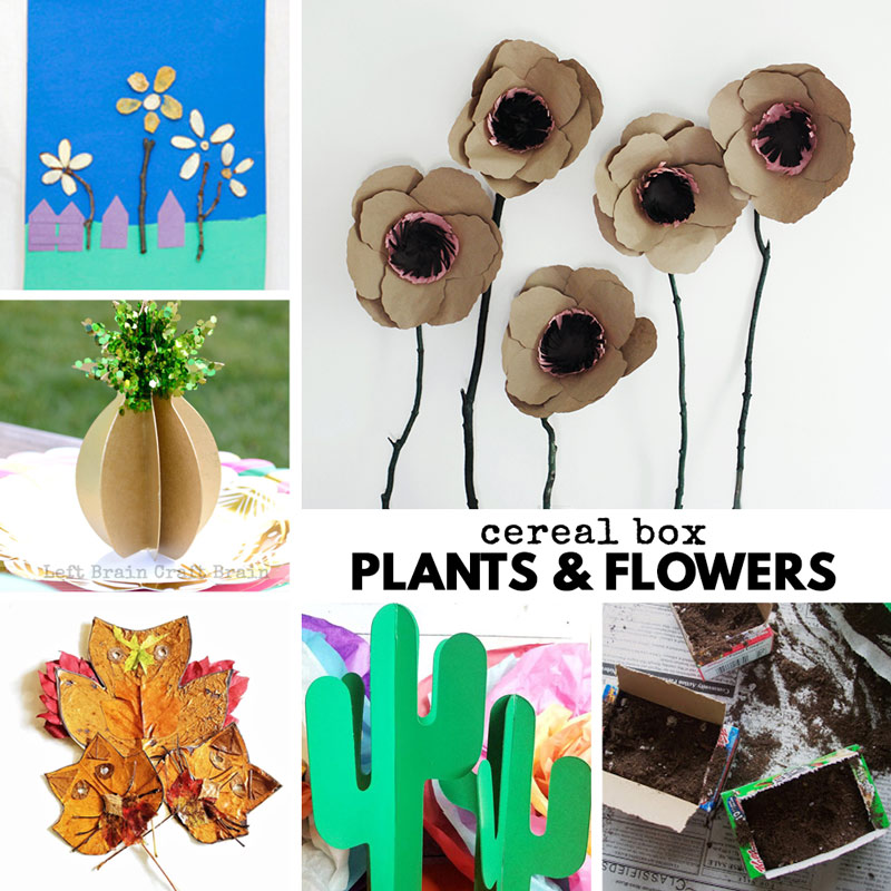 cereal box plants and flowers