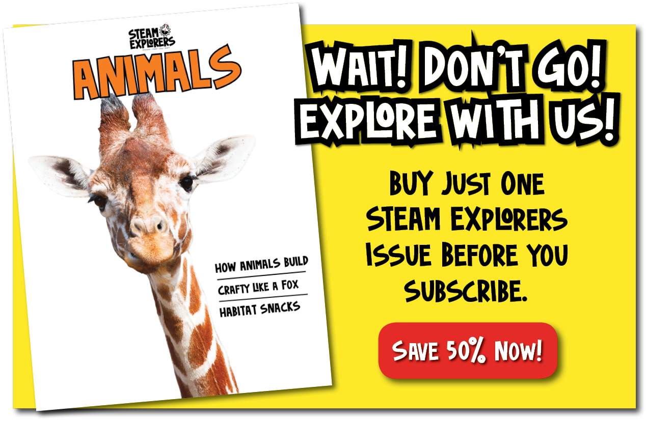 STEAM Explorers Animal Ebook Pop Up -50% v2