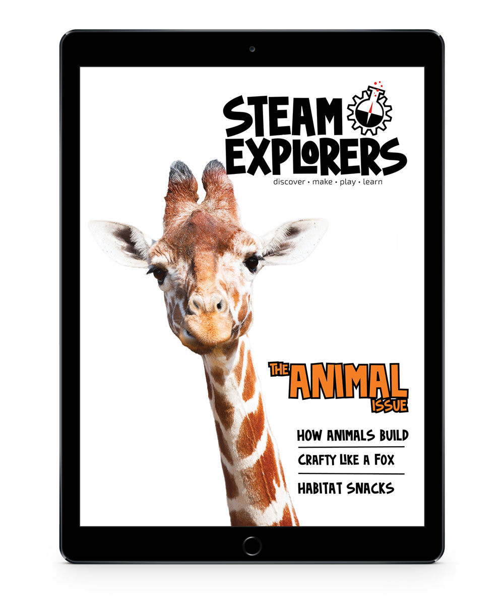 STEAM-Explorers-ipad-mockup-transparent---Animals-Issue-1000x1200
