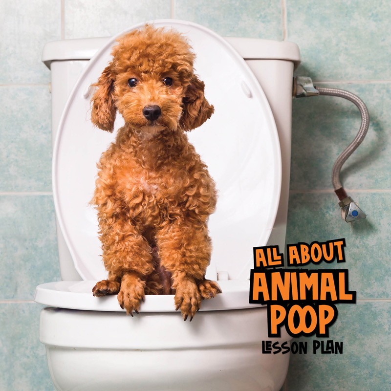Explore the science of poop with this fun lesson plan for kids. Read, play, and cook delicious no-bake cookies to learn about how animal scat differs between animals. It's gross, but cool science that kids will love! Perfect for scouts, school, homeschool, and more.