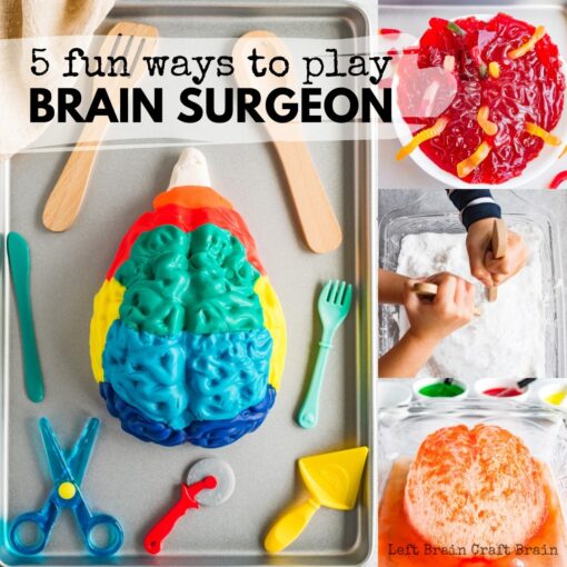 Play Brain Surgeon with a Brain Jello Mold - Left Brain Craft Brain