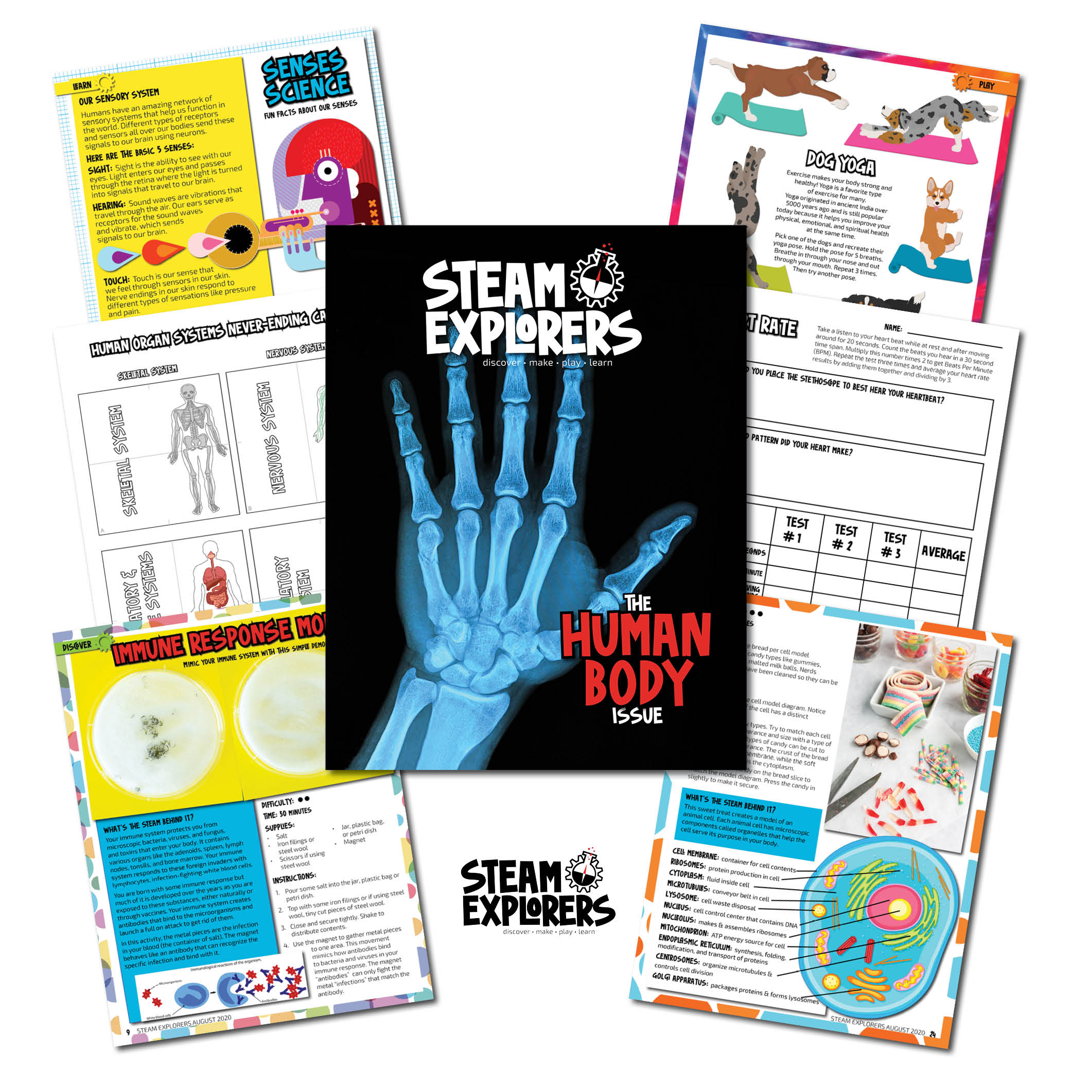 STEAM Explorers - Human Body - Cover Collage