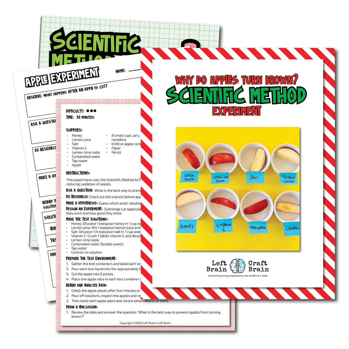 Why Do Apples Turn Brown? Science Experiment Pertaining To Scientific Method Story Worksheet Answers