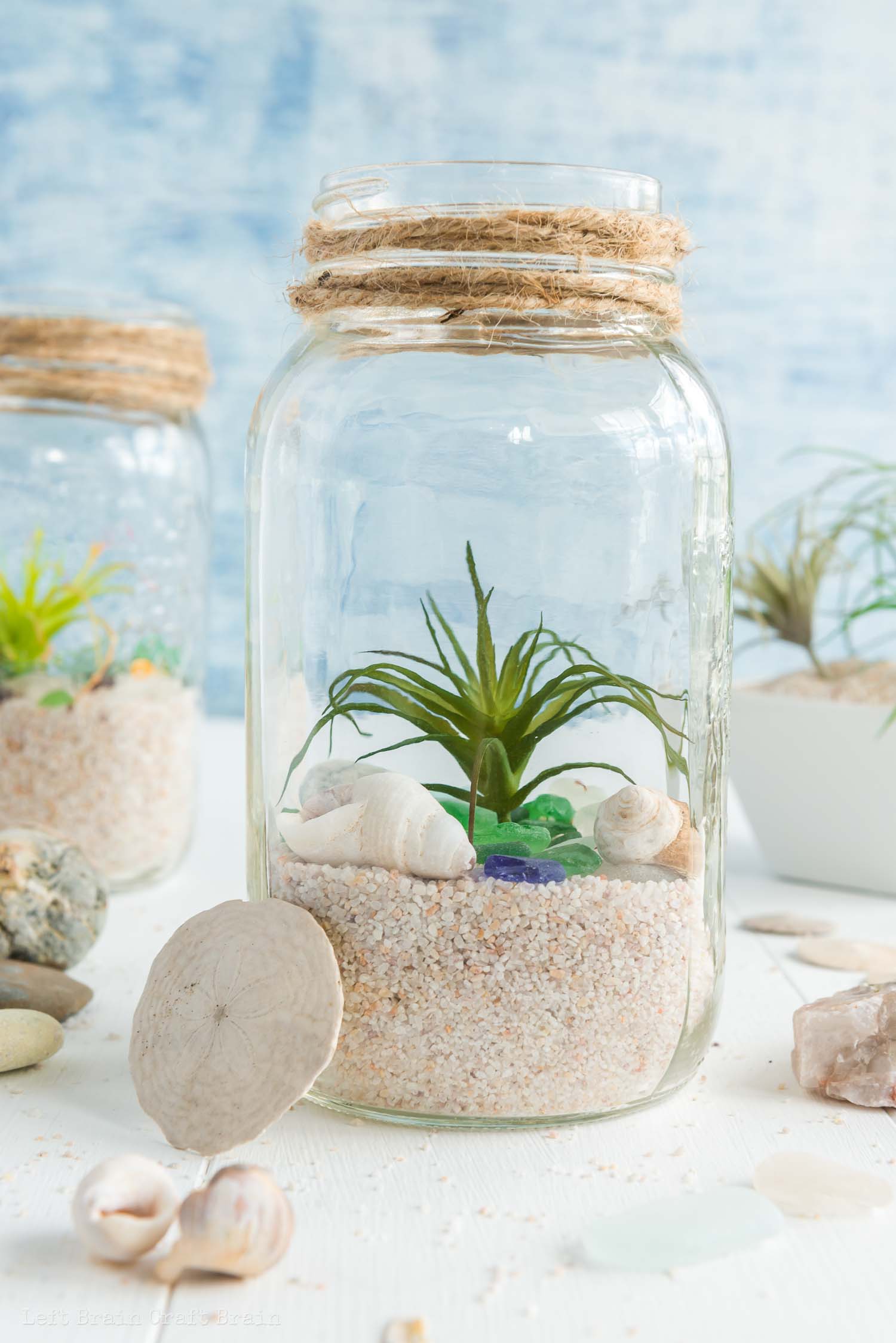 closeup of air plant shells sand and sea glass in tall mason jar with shells in front