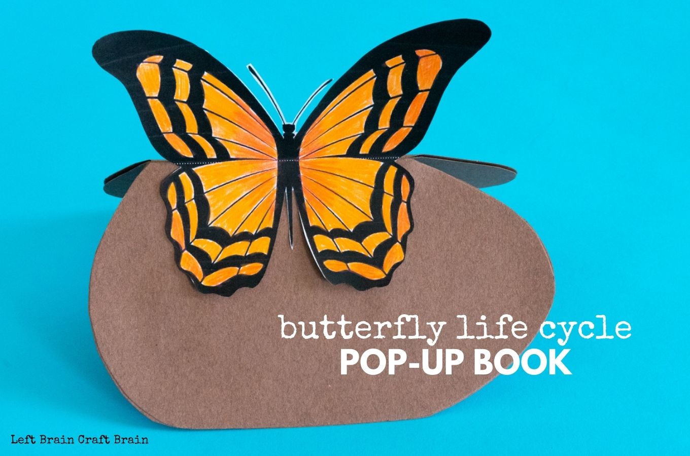 Butterfly Life Cycle Pop-Up Book 1360x900