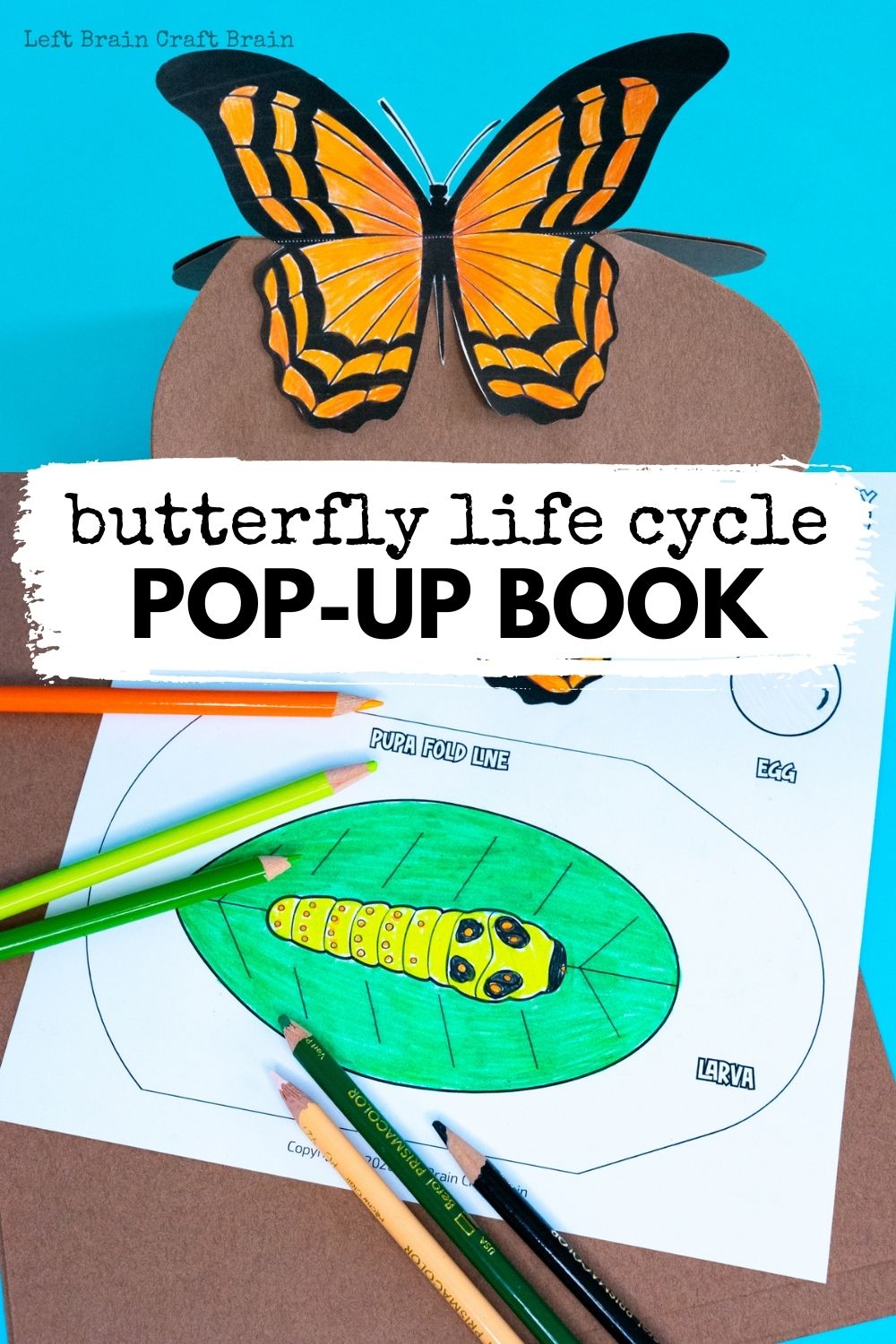 Learn about the butterfly life cycle with a fun pop-up book! It's a perfect STEAM activity for school or homeschool.