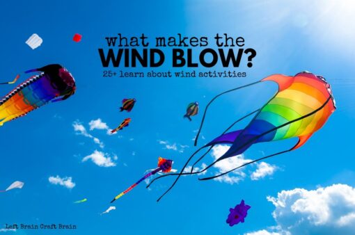 Learn about wind with 25 activities for kids: arts & crafts, science, motor skills, books, & more! Plus all the science behind what makes the wind blow.