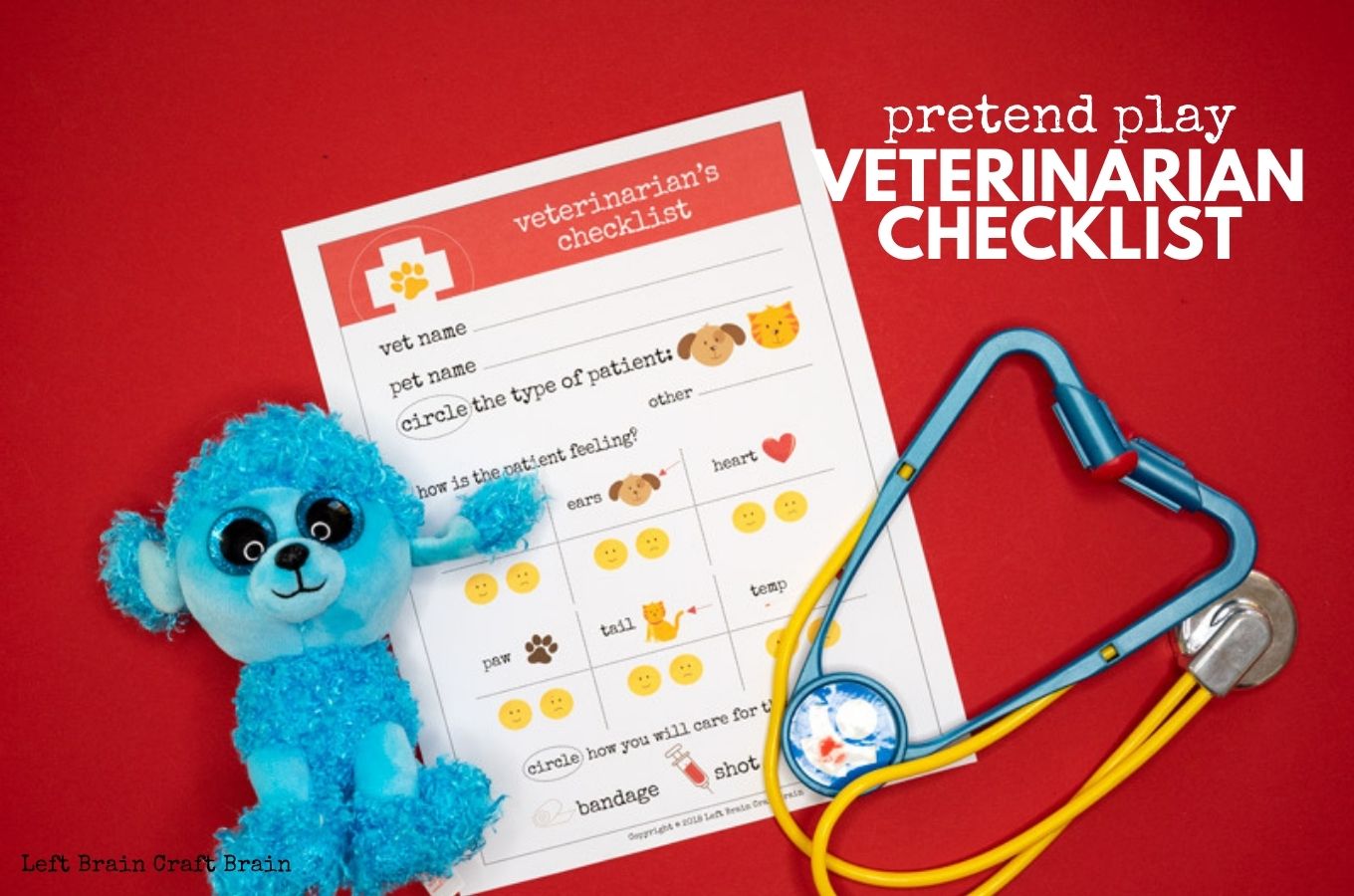 pretend play veterinarian checklist 1360x900