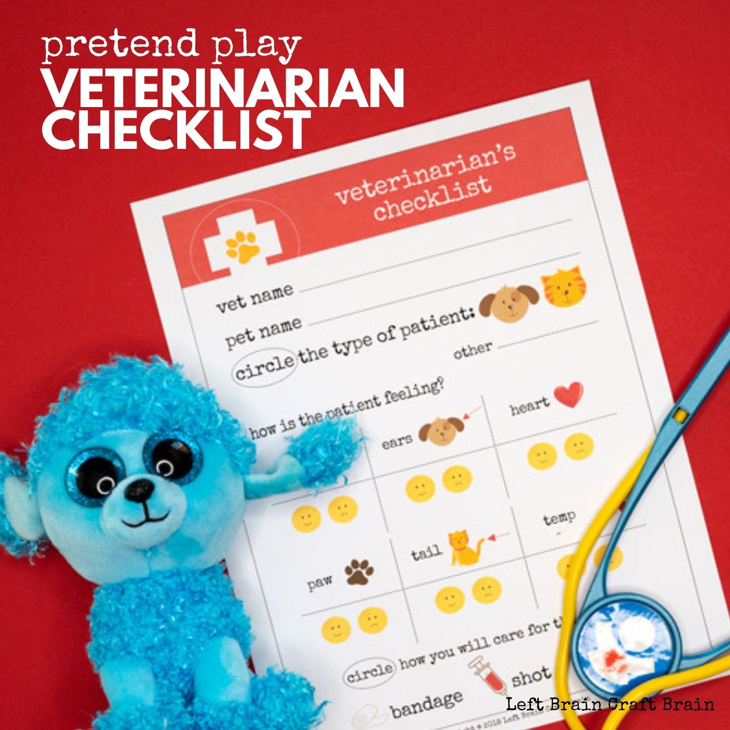 pretend play veterinarian checklist 1500x1500