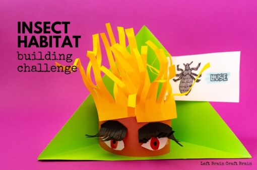 Insect Habitat Building Challenge 1360x900